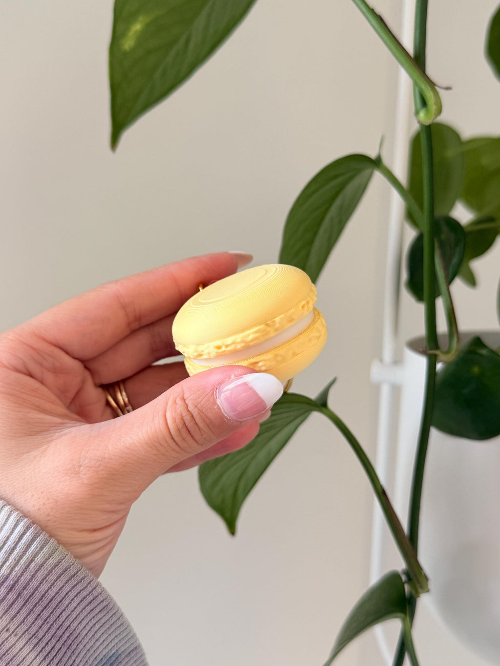 3D Printed Macaron Fidget Clicker | Strawberry, Lemon, Pistachio, Lavender Flavors (Clicky or Silent) __etsy:7905086438